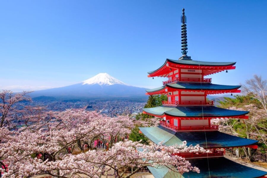 Tokyo: Private Mt.Fuji Day Trip with English-Speaking Driver - Pricing & Value