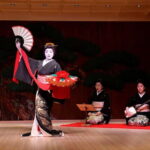 Tokyo: Private Tour and Traditional Performance with Dinner - The Guided Walking Tour: Setting the Scene