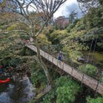 Tokyo private tour by car with pick up - Breakdown of the Itinerary