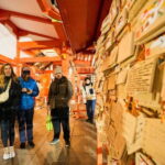 Tokyo: Shinjuku Nightlife & Secret Backstreets Walking Tour - Real Experiences from Travelers