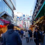 Tokyo Shopping Street Private Tour Government Licensed Guide - Authentic Experiences and Local Insights