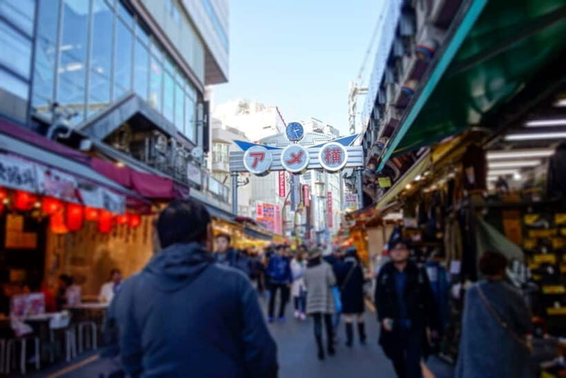 Tokyo Shopping Street Private Tour Government Licensed Guide - Authentic Experiences and Local Insights