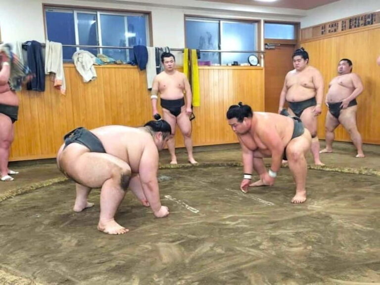 Tokyo: Sumo, Kimono, and Culture Tour with Lunch - A Closer Look at the Experience