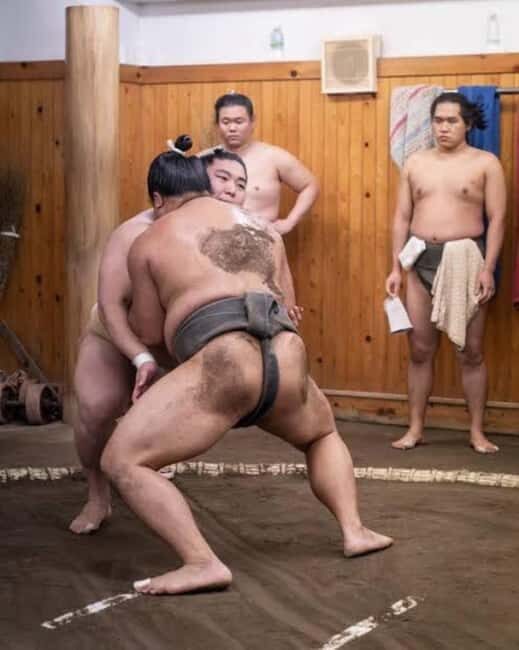 Tokyo: Sumo Show and Experience in Shinjuku - Practical Aspects and Value
