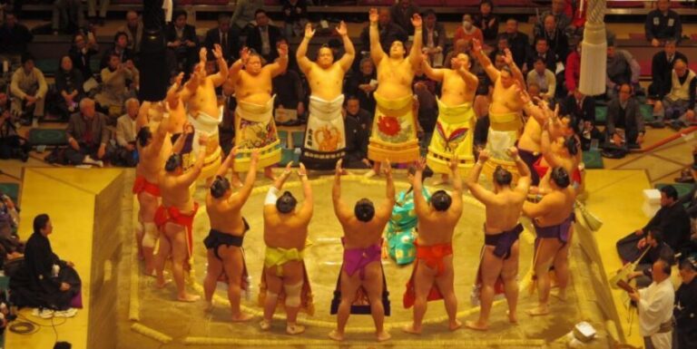 Tokyo: Sumo Tournament Tour with Chair Seat Tickets - What’s Included & What’s Not