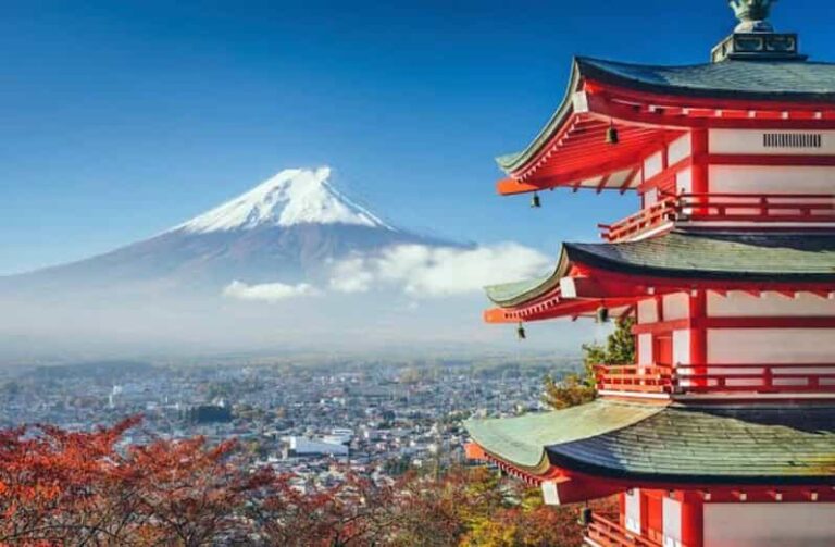 Tokyo to Mt Fuji private Tour - What the Tour Includes and Excludes