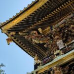 Tokyo to Nikko: Day Trip Custom Day Tour - Practical Details and What to Expect