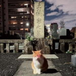 Tokyo: True Crime And Ghost Stories Tour - The Route and Sights