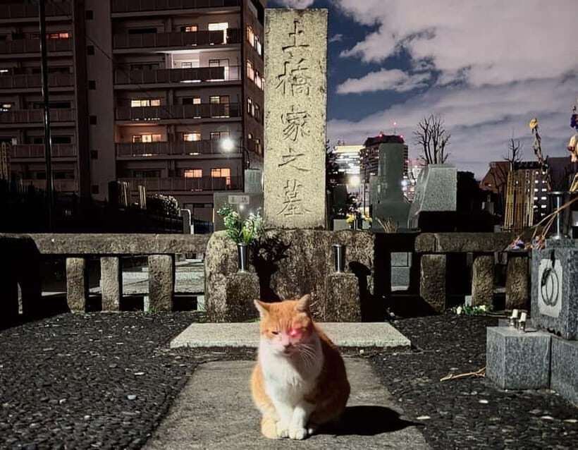 Tokyo: True Crime And Ghost Stories Tour - The Route and Sights