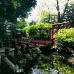 Tokyo: We love Shibuya, Hachiko and the lucky cat temple - Honoring Loyalty: Hachiko’s Statue