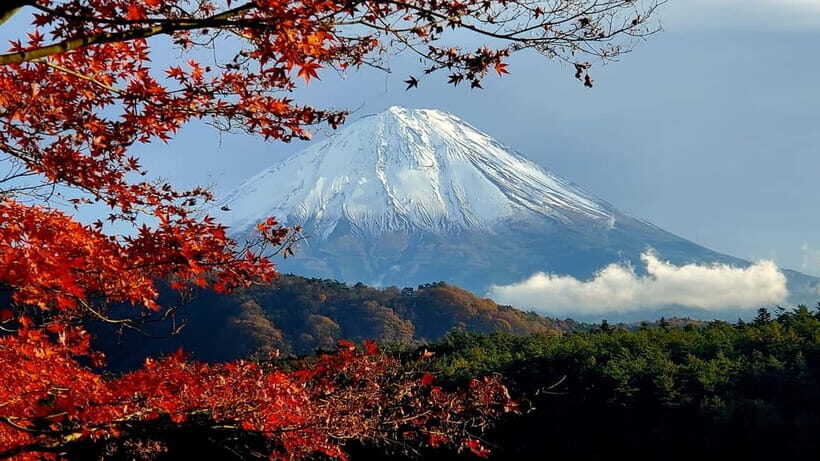 Tokyo:2 Days Mount Fuji & Hakone Private Tour (Customizable) - Day Two: From Lakes to Hakones Serenity
