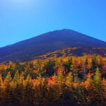 Tokyo:Mt.Fuji 5th Station,Oshino Hakkai&Kawaguchiko Day Tour - Transportation, Group Size, and Overall Value