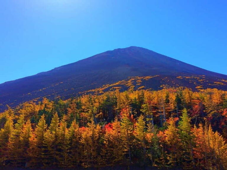 Tokyo:Mt.Fuji 5th Station,Oshino Hakkai&Kawaguchiko Day Tour - Transportation, Group Size, and Overall Value