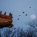 Top2 Beijing Forbidden City, Great Wall Flexible Private Tour OPT - Authentic Experiences & Insights from Travelers