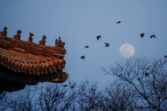 Top2 Beijing Forbidden City, Great Wall Flexible Private Tour OPT - Authentic Experiences & Insights from Travelers