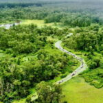 Tra Su Forest Full Day Tour From Can Tho city - Who Is This Tour Best For?