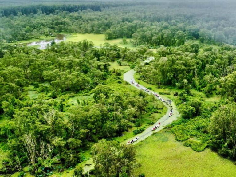 Tra Su Forest Full Day Tour From Can Tho city - Who Is This Tour Best For?