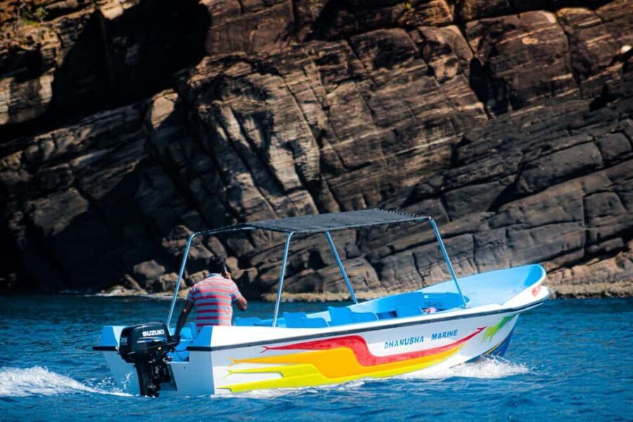 Trincomalee: All Inclusive Whale&Dolphin Watching Boat Tour - Practical Aspects of the Tour