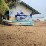 Trincomalee: Dolphin & Whale Watching Boat Tour - Who Will Love This Tour?