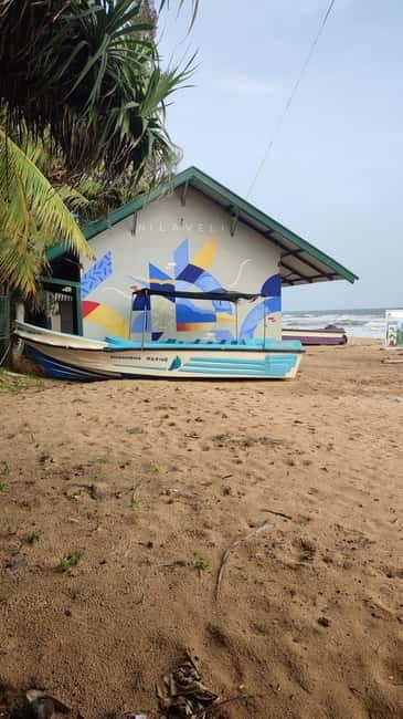 Trincomalee: Dolphin & Whale Watching Boat Tour - Who Will Love This Tour?