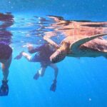 Turtle Snorkeling in Ishigaki - Fluent English! Small Group! - What to Expect During the Tour