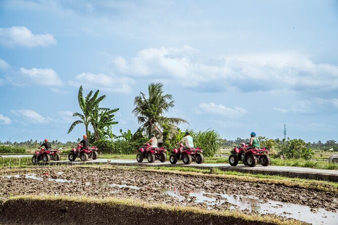 Ubud ATV Quad Bike with Infinity Pool Access All Inclusive - Practical Details and Tips