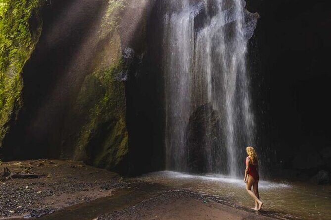 Ubud: Private Customized Highlights Tour - Who Should Book This Tour?