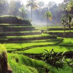 UBUD : Temple and Waterfall All Inclusive Day Tour - Coffee and Cuisine: An Authentic Taste of Bali