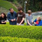 Uji and Wazuka Matcha Farm Half Day Private Guided Tour - Authenticity and Value