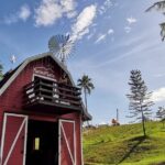 Ultimate Full Day Albay Bicol Philippines Tour with Mayon Skyline - The Experience in Practice: What Really Makes this Tour Stand Out