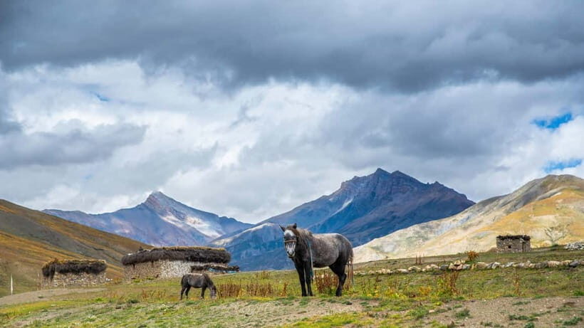 Upper Dolpa Cultural Trek - What’s Included and What’s Not