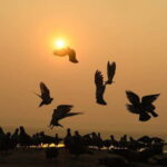 Varanasi: Sunrise Boat Tour & Ghats Experience - The Allure of the Early Morning