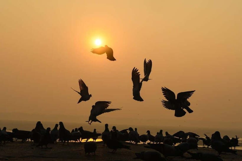 Varanasi: Sunrise Boat Tour & Ghats Experience - The Allure of the Early Morning