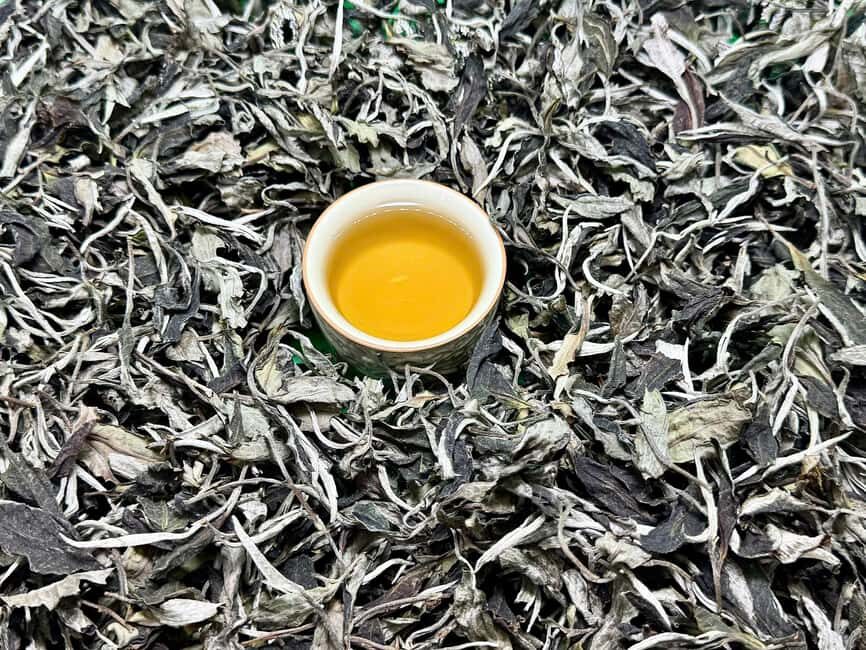 Vietnam Tea Tasting & Train Street & Lunch (Buncha & Banhmi) - Why This Tour Offers Good Value