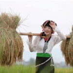 Visit all place in Dien Bien Phu 1 day - Private tour by car - Exploring the Itinerary: What You Can Expect