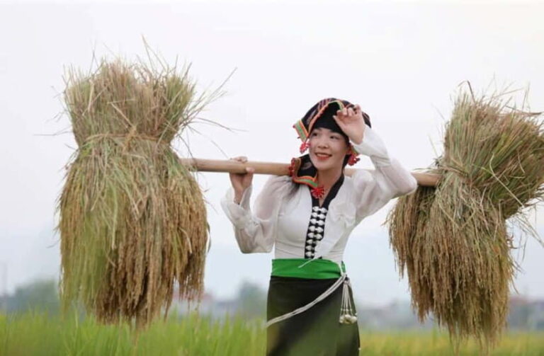 Visit all place in Dien Bien Phu 1 day - Private tour by car - Exploring the Itinerary: What You Can Expect