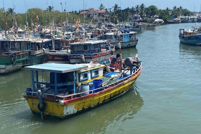 Visit Negombo by Scooty - All Inclusive - Final Thoughts