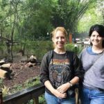 Visiting Chengdu Panda Base in a Half Day - The Practicalities: What You Should Know
