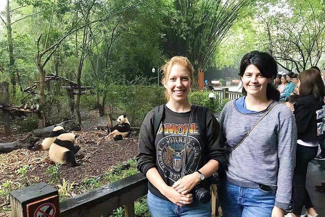 Visiting Chengdu Panda Base in a Half Day - The Practicalities: What You Should Know
