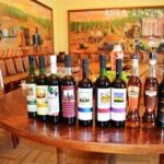 Wine Tasting Tour in Samarkand - Who Will Enjoy This Tour?