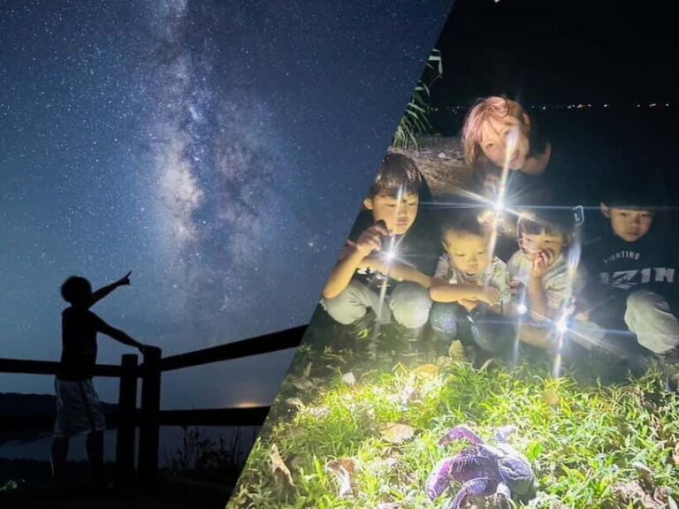 Yonaguni Island: Stargazing and Jungle Night Tour - Practical Details and Why They Matter