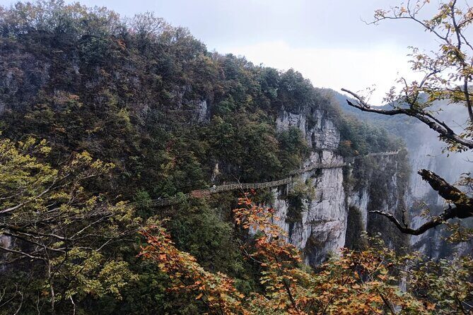 Zhangjiajie Tianmen Mountain and Glass Skywalk Private Tour - What the Reviews Say