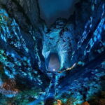 Zhangjiajie: Tianmen Mountain Night Tour with Light Show - What’s Included and What to Consider