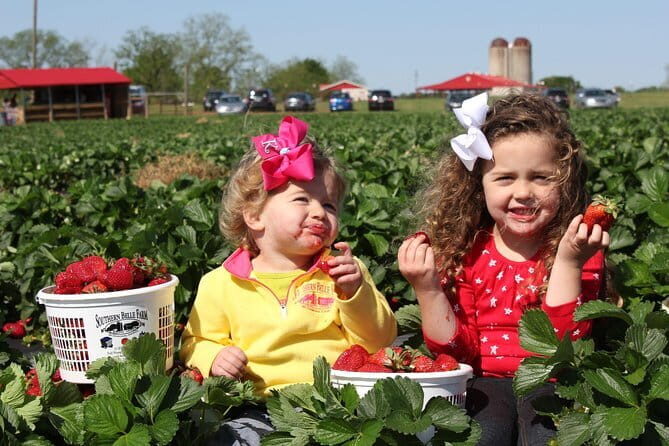 04 Days Tour - Sigiriya , Kandy and Nuwara Eliya - Exploring the Highlights of the Tour