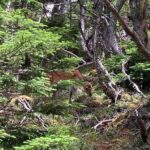 1-Day Adventure Hike to Hoei Cater on Mt. Fuji - Learning from the Guides