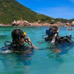 1-Day Discover Scuba Diving for Beginners in Koh Tao - The Sum Up