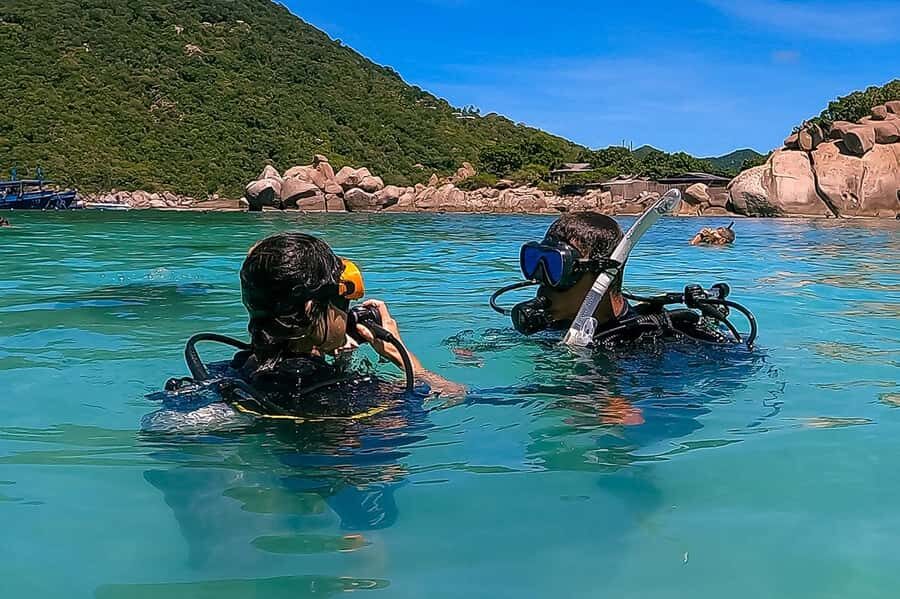 1-Day Discover Scuba Diving for Beginners in Koh Tao - The Sum Up