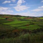 1-Day Dongchuan Red Land Photography Private Tour from Kunming - Practical Tips for Travelers