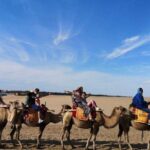 1-Day Dunhuang Tour to Crescent Lake,Mogao Grottoes and Shazhou Night Market - Who Will Love This Tour?