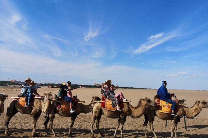 1-Day Dunhuang Tour to Crescent Lake,Mogao Grottoes and Shazhou Night Market - Who Will Love This Tour?